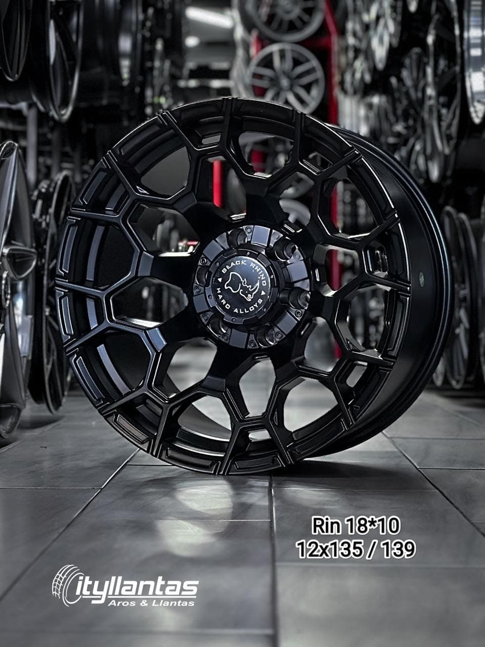 Aro BLACK RHINO R18 - 10" (12x135/139)